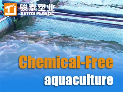 Sistemes d’aqüicultura sense productes químics: antibiòtics zero i 28% de ben...