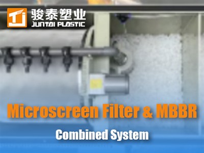 Filtre de micropantalla i sistema combinat MBBR en aqüicultura: avantatges si...