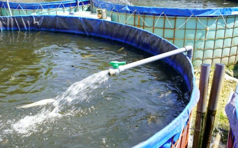 Aquaculture Wastewater Treatment Technologies Aquaculture Wastewater Treatment Technologies